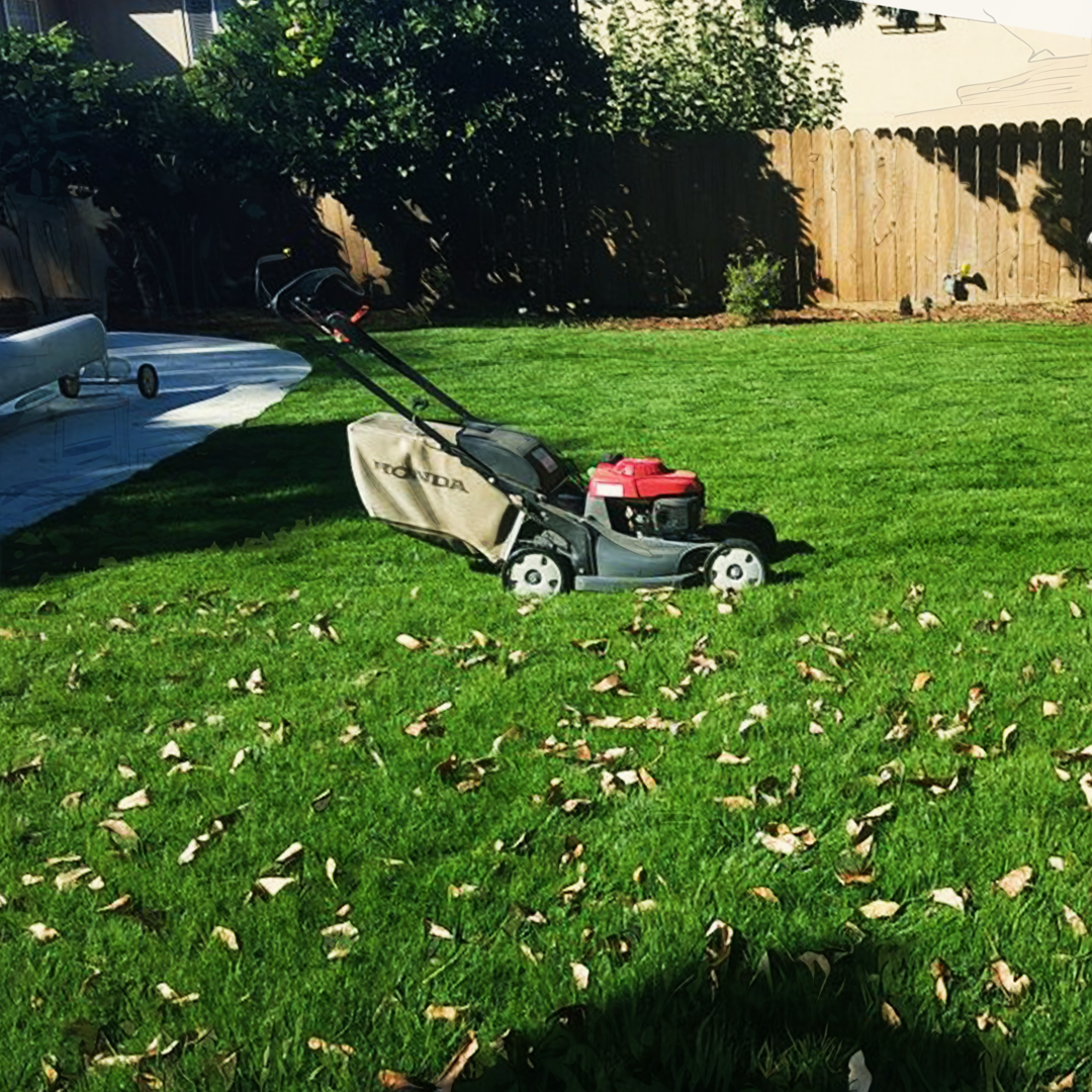 Garden Maintenance